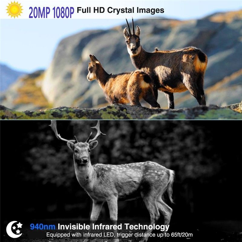 HC801M 20MP Trail Wildkamera mit 1080P Nachtsicht Ideal für Wildtierfotografie und Naturbeobachtung