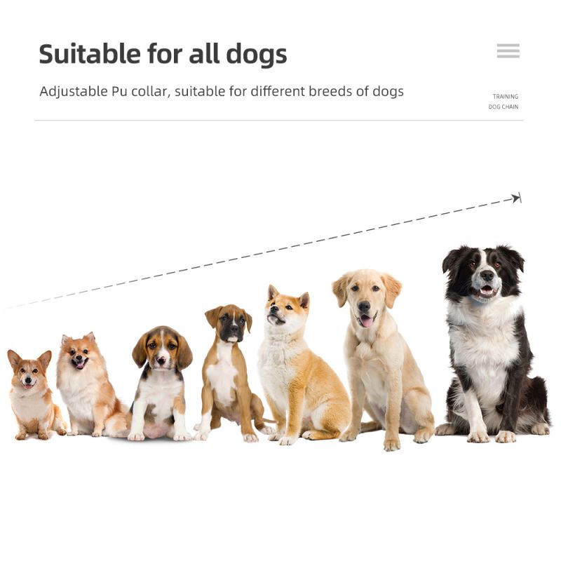 800m Hundetrainingshalsband für effektives Hundetraining IP7 wasserdicht mit einstellbaren Stufen und Trainingsmodi