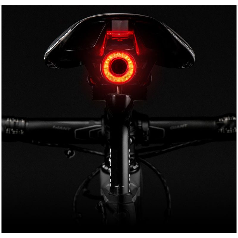 ROCKBROS Q5 Fahrrad Smart Light mit Auto Brake Sensing IPx6 Wasserdicht für Fahrradsicherheit und Sichtbarkeit