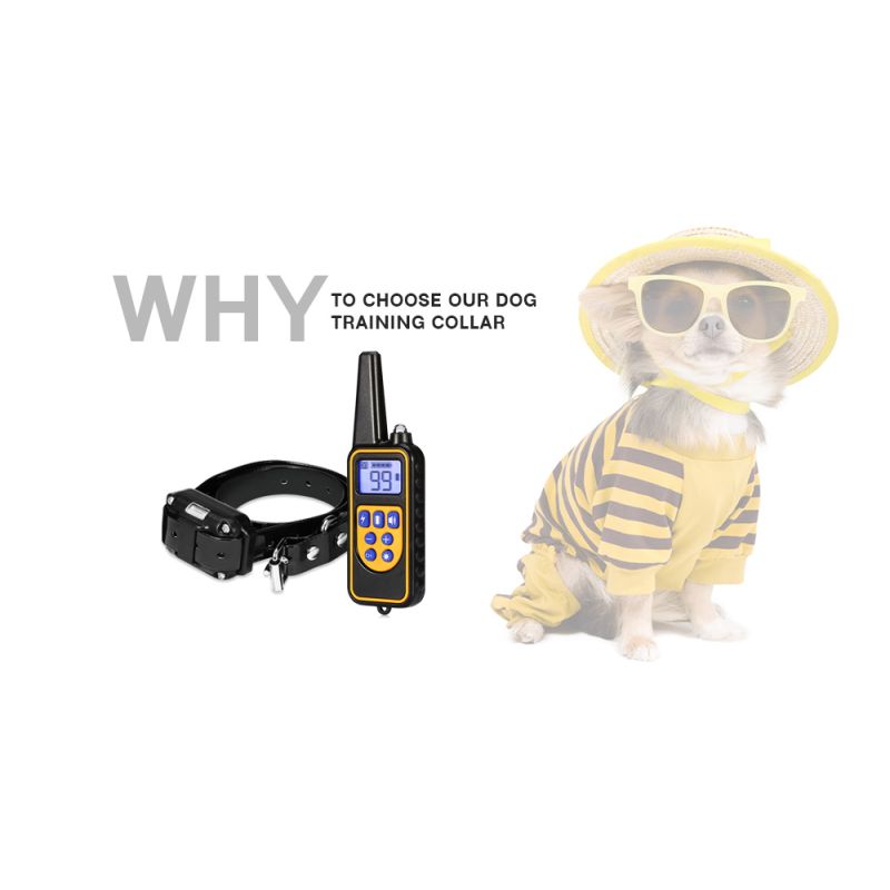800m Elektrischer Hunde-Trainingskragen Wasserdichter Wiederaufladbares Hundehalsband mit LCD-Display