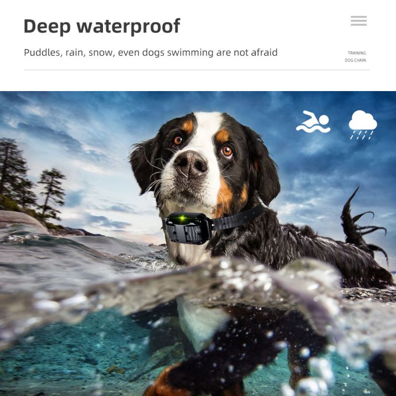 800m Hundetrainingshalsband für effektives Hundetraining IP7 wasserdicht mit einstellbaren Stufen und Trainingsmodi