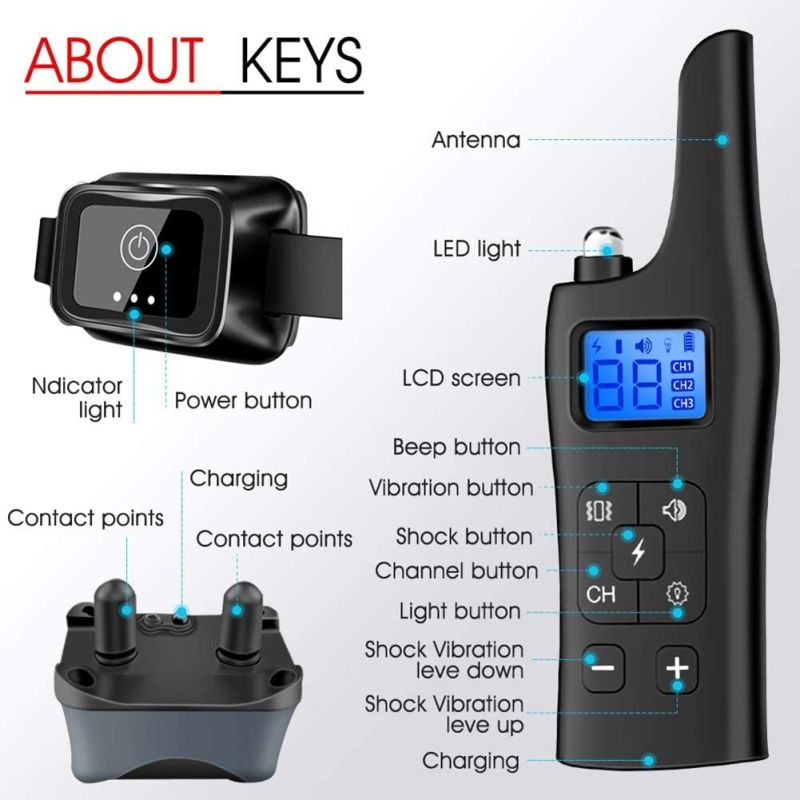 Entdecken Sie den neuen Elektrischer Hundetrainingskragen mit Fernbedienung für sicheres Training kleiner Hunde