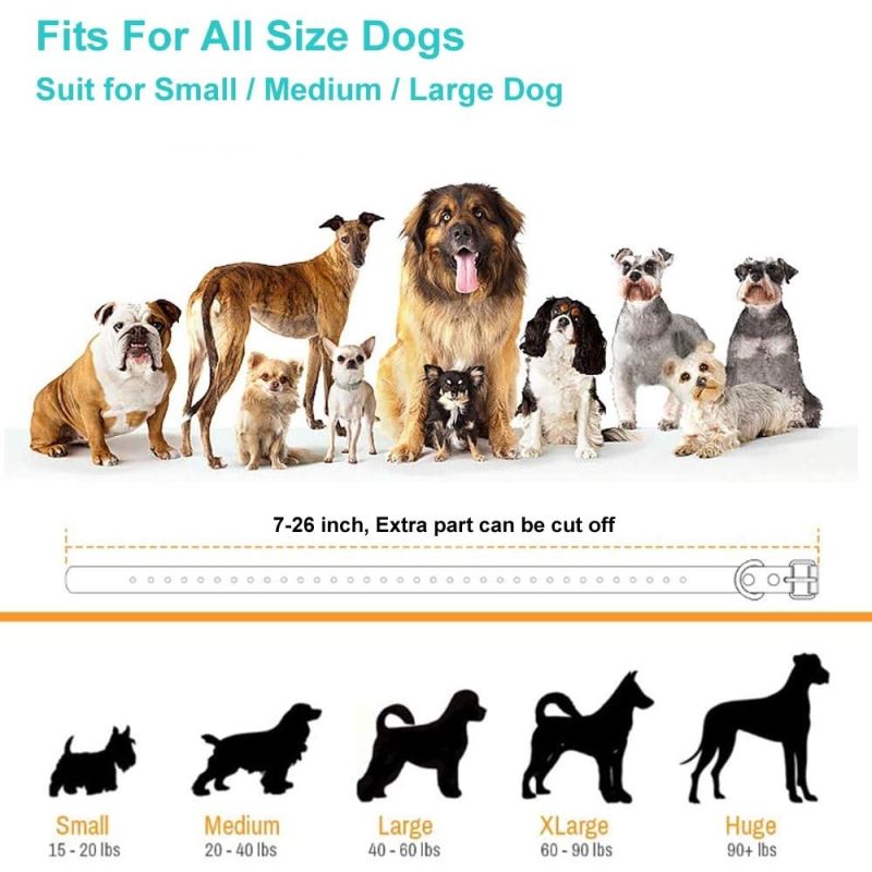 800m Elektrisches Hundehalsband mit Fernbedienung Haustierzubehör 3 Trainingsmodi für effektives Hundetraining