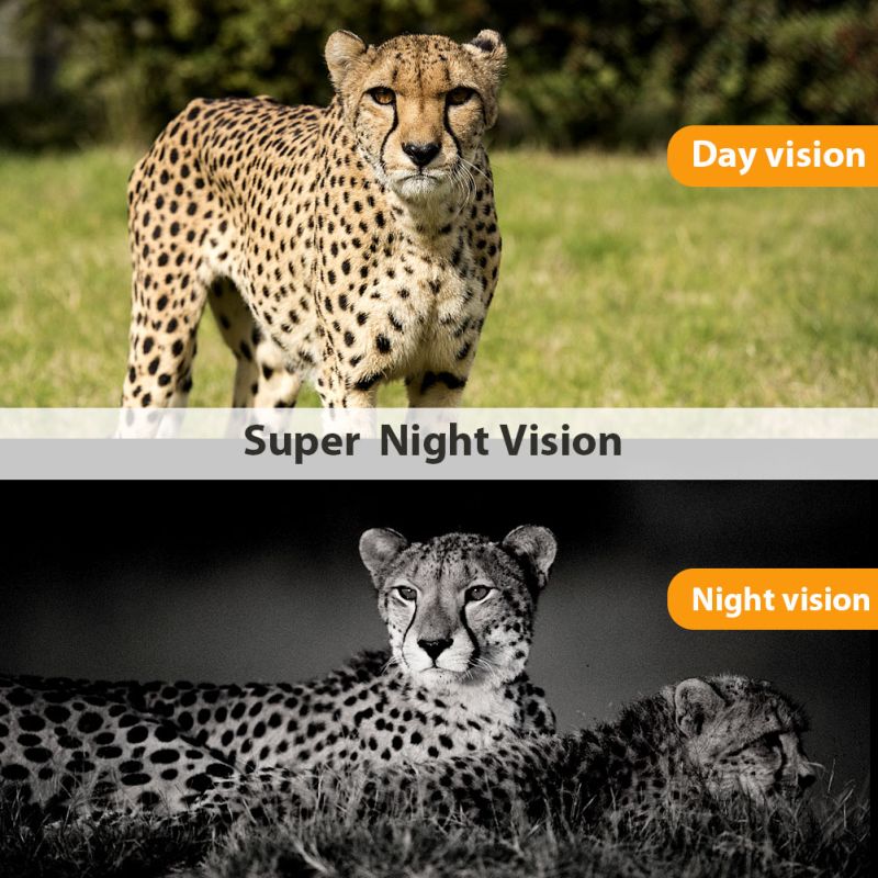 HC801M 20MP Trail Wildkamera mit 1080P Nachtsicht Ideal für Wildtierfotografie und Naturbeobachtung