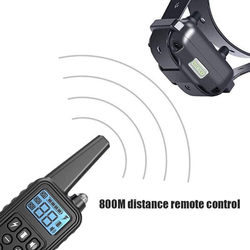 Entdecken Sie den 800m Elektrischen Hundetrainingskragen wasserdicht mit einstellbaren Schockleveln für effektives Training