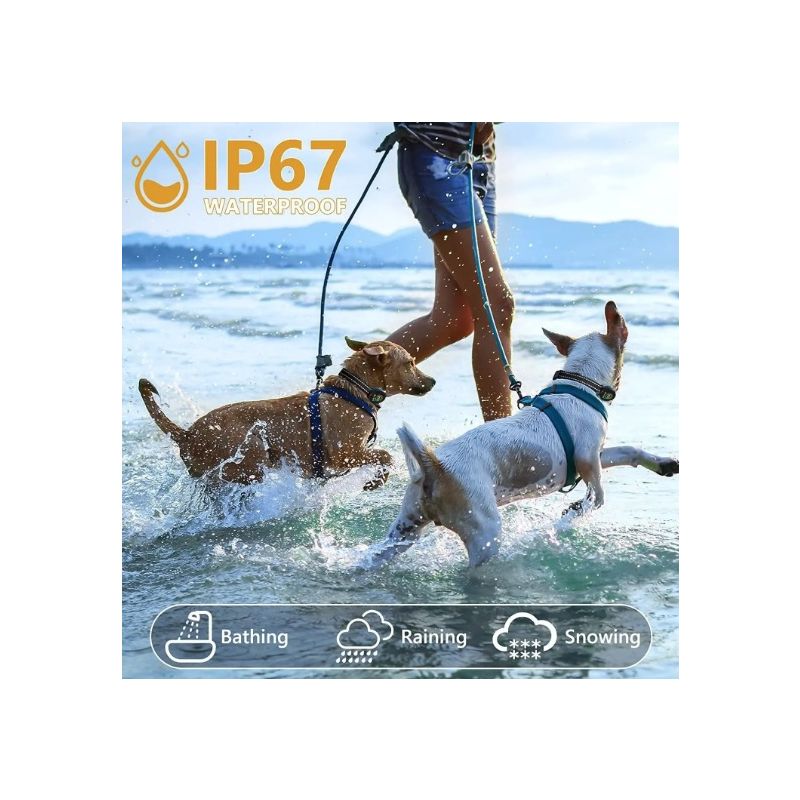 Intelligentes automatisches Anti-Bell-Hundehalsband mit fortschrittlichem Bellalgorithmus Wiederaufladbarer Rindenstopper