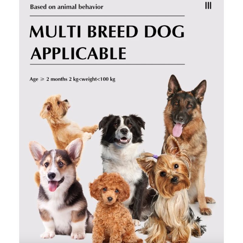 Entdecken Sie das Drahtlose Elektronische Hundezaunsystem Innovatives Hundetraining und Sichere Haustiergrenzen