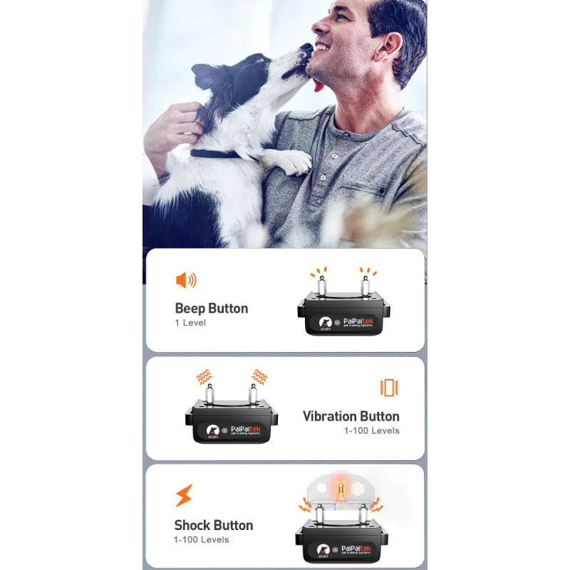 1000m Elektrische Hund Ausbildung Kragen Vielseitiges Haustier Ausbildung Werkzeug mit Sicherheits Keylock Funktion