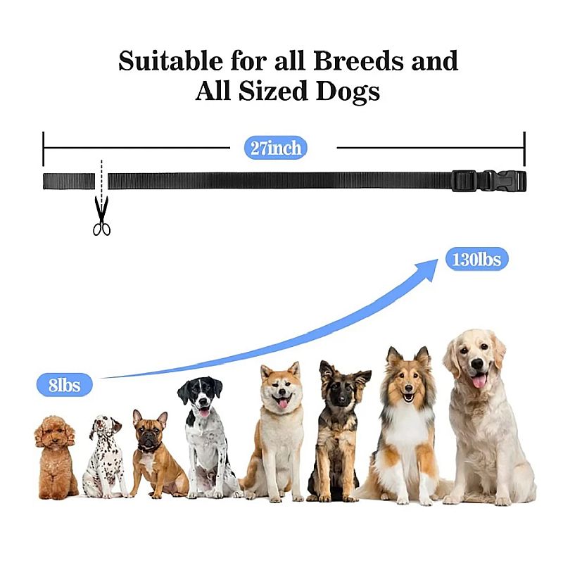 1000m Elektrische Hund Ausbildung Kragen Vielseitiges Haustier Ausbildung Werkzeug mit Sicherheits Keylock Funktion