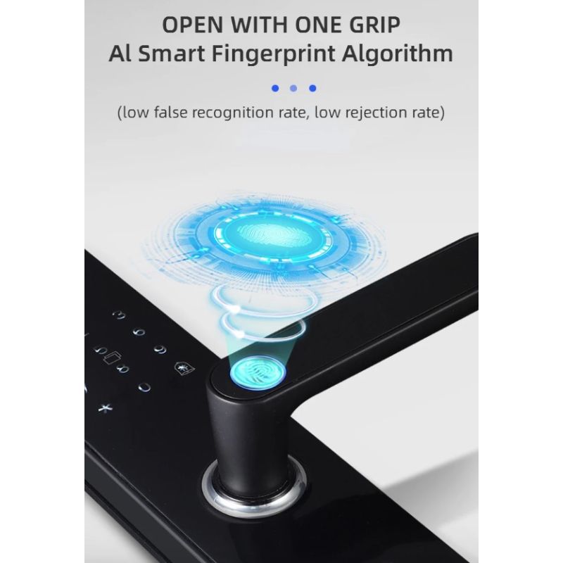 Elektronisches biometrisches Türschloss mit schlüssellosem Zugang und modernem Design für Ihre Haussicherheit