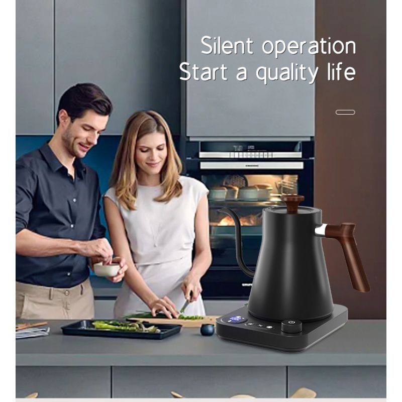 Elektrischer Schwanenhals-Wasserkocher 1200 Watt mit Echtzeit-Temperaturregelung für perfekte Tee- und Kaffeezubereitung