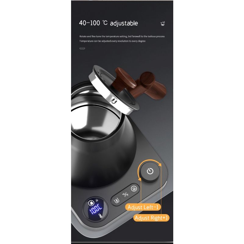 Elektrischer Schwanenhals-Wasserkocher 1200 Watt mit Echtzeit-Temperaturregelung für perfekte Tee- und Kaffeezubereitung