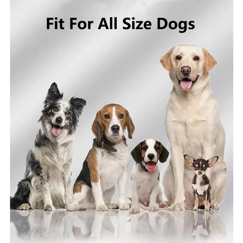 GPS-drahtloser Hundezaun mit 1000 m Reichweite und einfache Installation für Haustiersicherheit im Freien