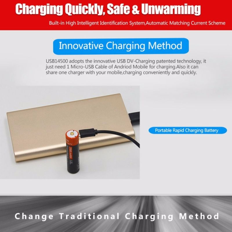 Erleben Sie 14500 Doublepow 750mAh 3.7V Li-Ion und Micro USB Batterie Hochkapazitiv für Taschenlampe und Geräte