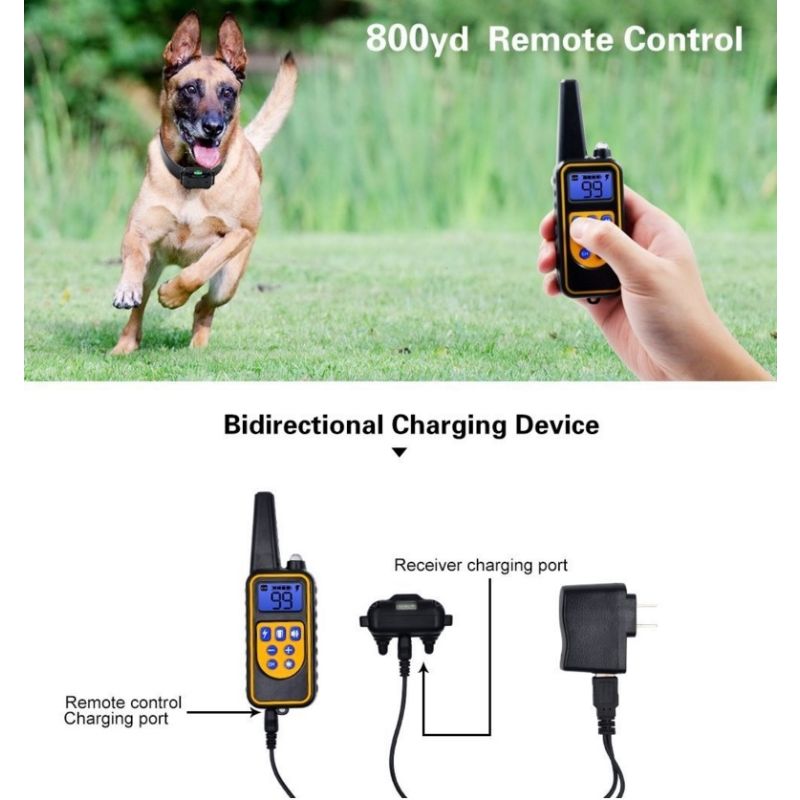 800YD Elektrisches Ferntrainingshalsband Hunde Wasserdicht Wiederaufladbar LCD Display Einstellbare Stufen Alle Größen