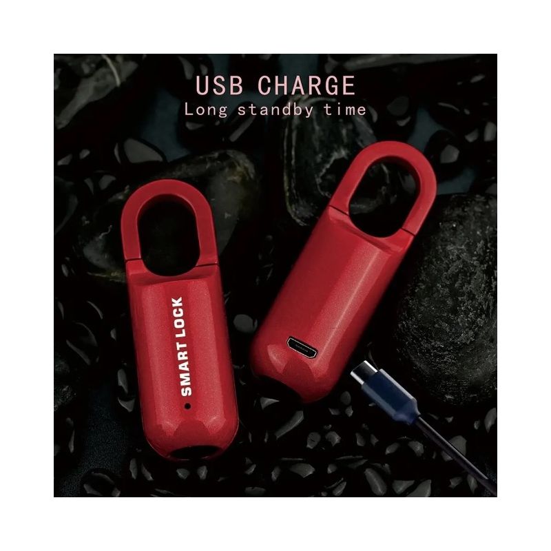 Mini-Fingerabdruck-Vorhängeschloss USB-schlüsselloses Schloss mit schnellem schlüssellosem Zugang für Reisesicherheit