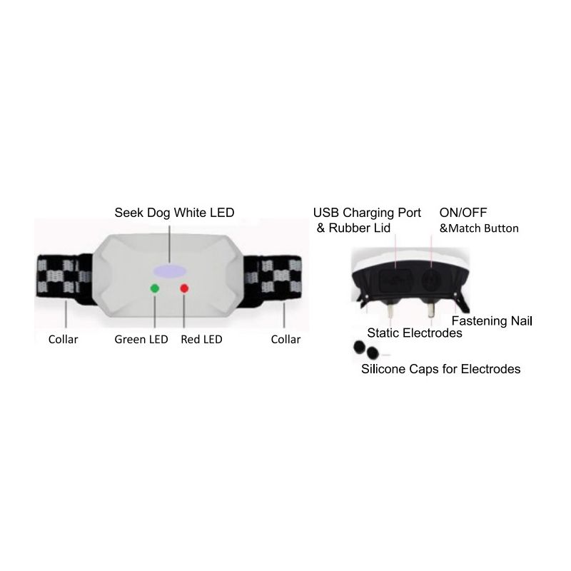Neues Hundetrainingsgerät wiederaufladbarer wasserdichter Schockhalsband mit Fernbedienung für effektives Training