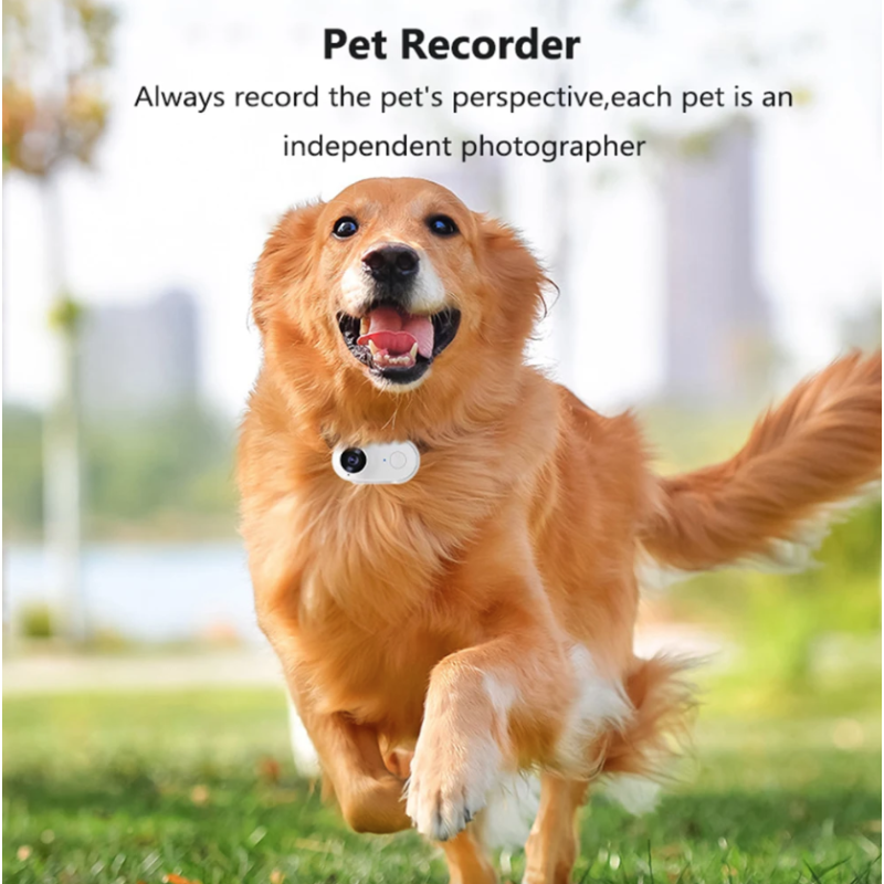 Mini WIFI Kamera: HD Sportkamera, Motorrad Video Recorder, tragbare Pocket Haustierkamera 1080P