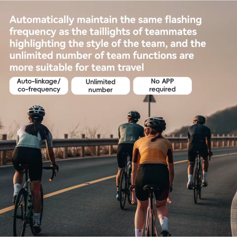 ROCKBROS R0 Lenkerendstopfen Fahrradlicht Typ-C | Rücklicht für MTB & Rennrad - Mehr Sicherheit