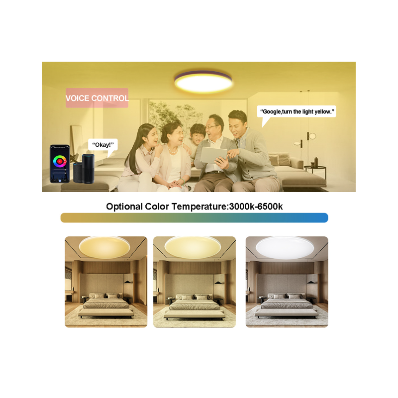 24W Tuya Zigbee Smart Deckenlampe Wohnzimmer Alexa Steuerung Moderne Beleuchtung für Ihr Smart Home