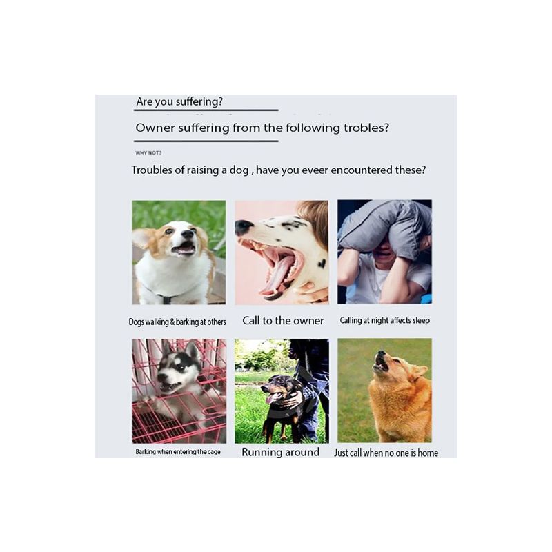 Pet Drahtloser Elektronischer Zaun mit Farbbildschirm Hundetrainer Sicheres Hundetraining Gerät für Haustiere