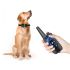 800m Hundetrainingshalsband für effektives Hundetraining IP7 wasserdicht mit einstellbaren Stufen und Trainingsmodi