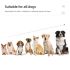 800m Hundetrainingshalsband für effektives Hundetraining IP7 wasserdicht mit einstellbaren Stufen und Trainingsmodi