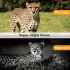 HC801M 20MP Trail Wildkamera mit 1080P Nachtsicht Ideal für Wildtierfotografie und Naturbeobachtung