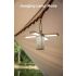 Klarus CL2 750 Lumen Freefolding Campinglicht augenschonende vielseitige Lampe mit 7 Lichtmodi und einstellbarem Winkel
