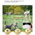 Entdecken Sie das Drahtlose Elektronische Hundezaunsystem Innovatives Hundetraining und Sichere Haustiergrenzen