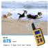 2020 Neues Elektrisches Hunde-Trainingshalsband 1000m Reichweite Wasserdicht Einstellbare Stimulationsstufen