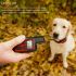 Wasserdichtes wiederaufladbares Fernbedienung Hundetrainingshalsband für Gehorsamkeitstraining und Verhaltenstraining