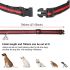 Wasserdichtes wiederaufladbares Fernbedienung Hundetrainingshalsband für Gehorsamkeitstraining und Verhaltenstraining
