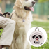 Hundetracker Airtag Hundehalsband GPS-Tracker für Hunde mit Echtzeit-Ortung Smart Locator für Hundesicherheit