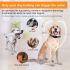 Wiederaufladbares Anti-Bell-Hundehalsband mit IP67 Wasserschutz Duale Trainingsmodi für effektives Hundetraining