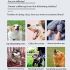 Pet Drahtloser Elektronischer Zaun mit Farbbildschirm Hundetrainer Sicheres Hundetraining Gerät für Haustiere