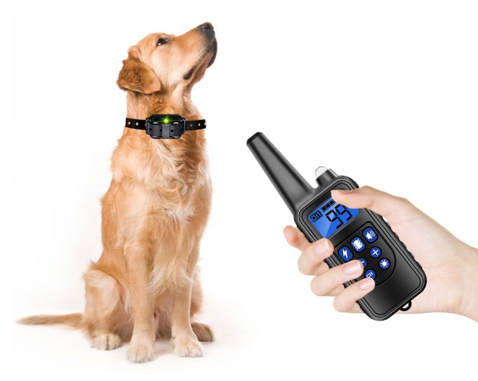 Verwandeln Sie das Hundetraining mit 800m Haustier-Fernbedienung, wiederaufladbar, einstellbare Stufen, IP7 wasserdichtes Halsband, Vibration und Schock