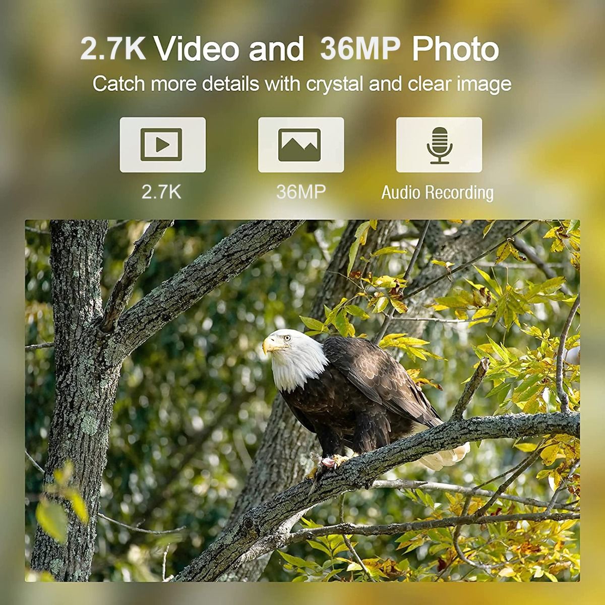 HC-900A 36MP Wildkamera 2.7K HD mit unsichtbarem Infrarot-Nachtsichtgerät, ideal für Wildtiere und den Außeneinsatz
