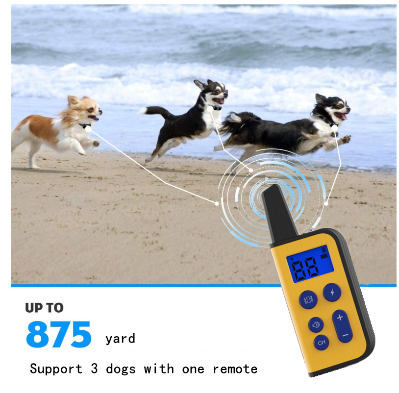 Wasserdichtes elektrisches Hundetrainingshalsband mit 1000 m Reichweite und einstellbaren Stimulationsstufen für humanes Training
