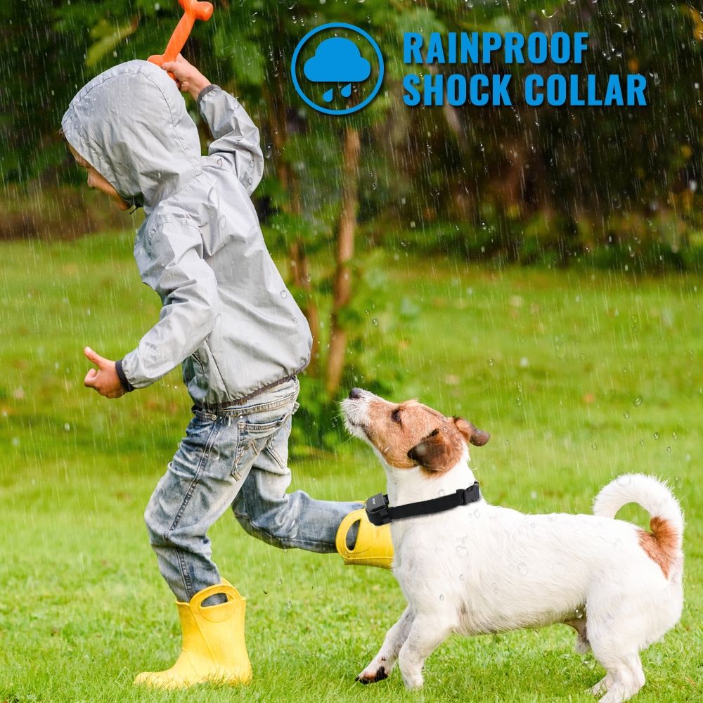 Petrainer 998D Fernbedienungs-Hundetrainingshalsband, elektrisch, 300 m Reichweite, wasserdicht, wiederaufladbarer Hochleistungsakku
