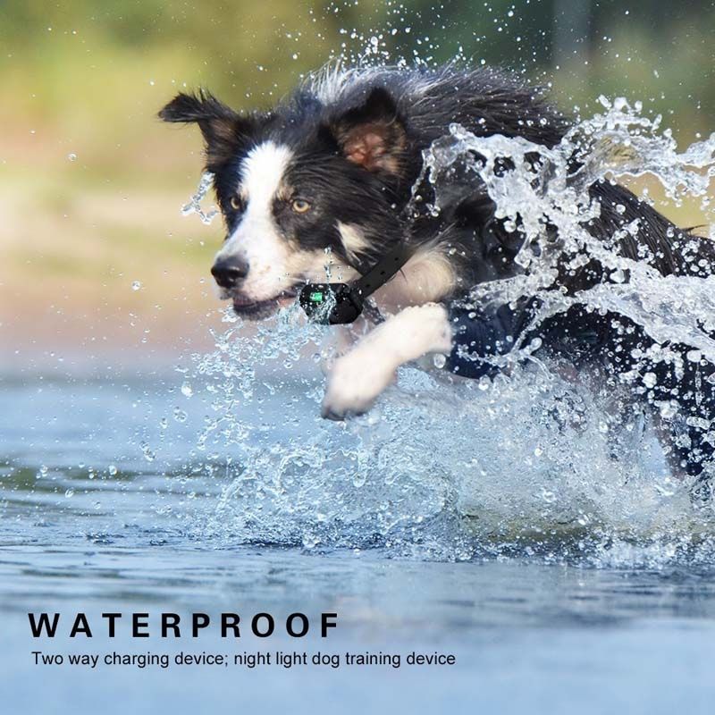 800 m elektrisches Hundetrainingshalsband mit LCD-Display, wiederaufladbar, wasserdicht, einstellbare Stufen für Haustierbesitzer