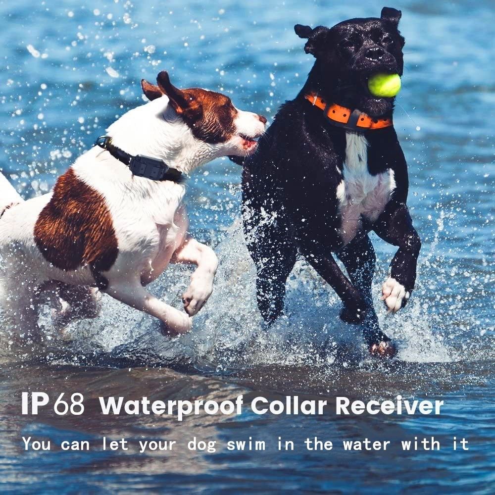 Wasserdichtes elektrisches Hundetrainingshalsband mit 1000 m Reichweite und einstellbaren Stimulationsstufen für humanes Training