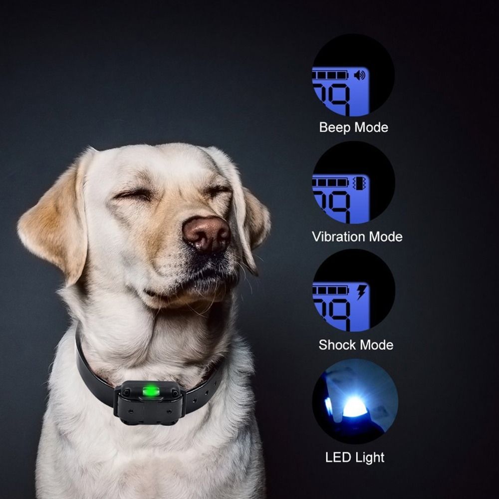 800m Elektrisches Fernbedienungs-Hundetrainingshalsband, wasserdicht, wiederaufladbar, einstellbare Stufen für Hunde aller Größen