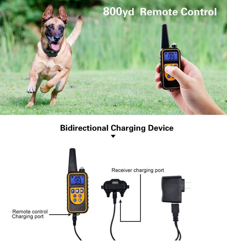 800m Elektrisches Fernbedienungs-Hundetrainingshalsband, wasserdicht, wiederaufladbar, einstellbare Stufen für Hunde aller Größen