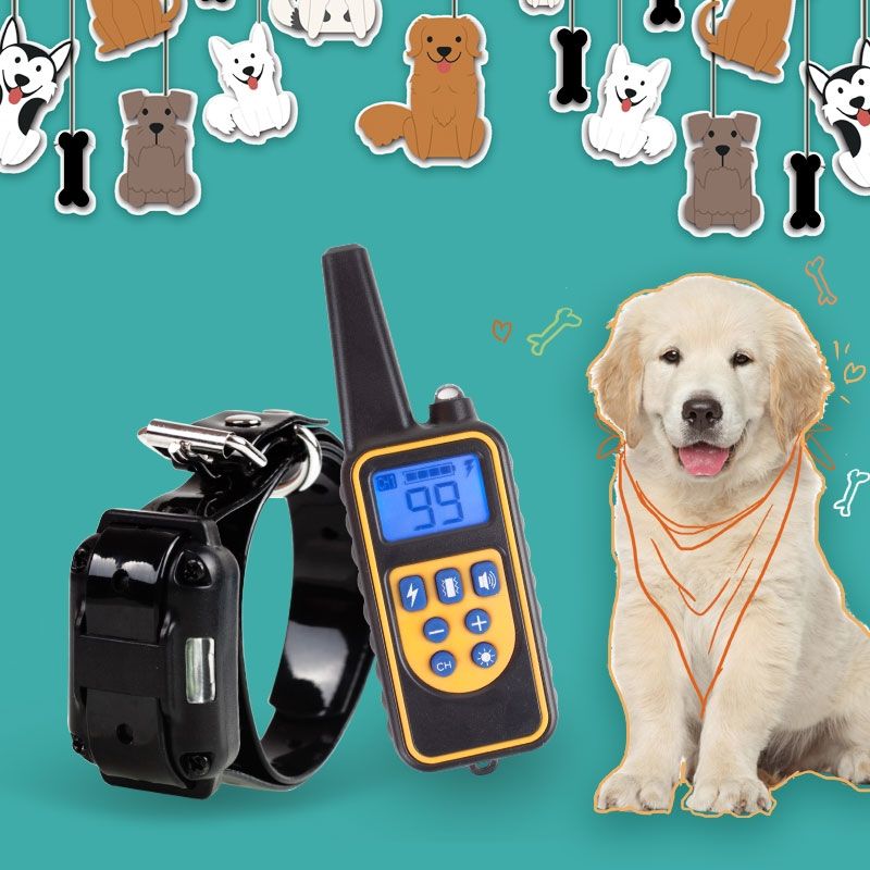 800m Elektrisches Hundetrainingshalsband, wiederaufladbar, wasserdicht, LCD-Display, einstellbare Stufen für den Hundegehorsam