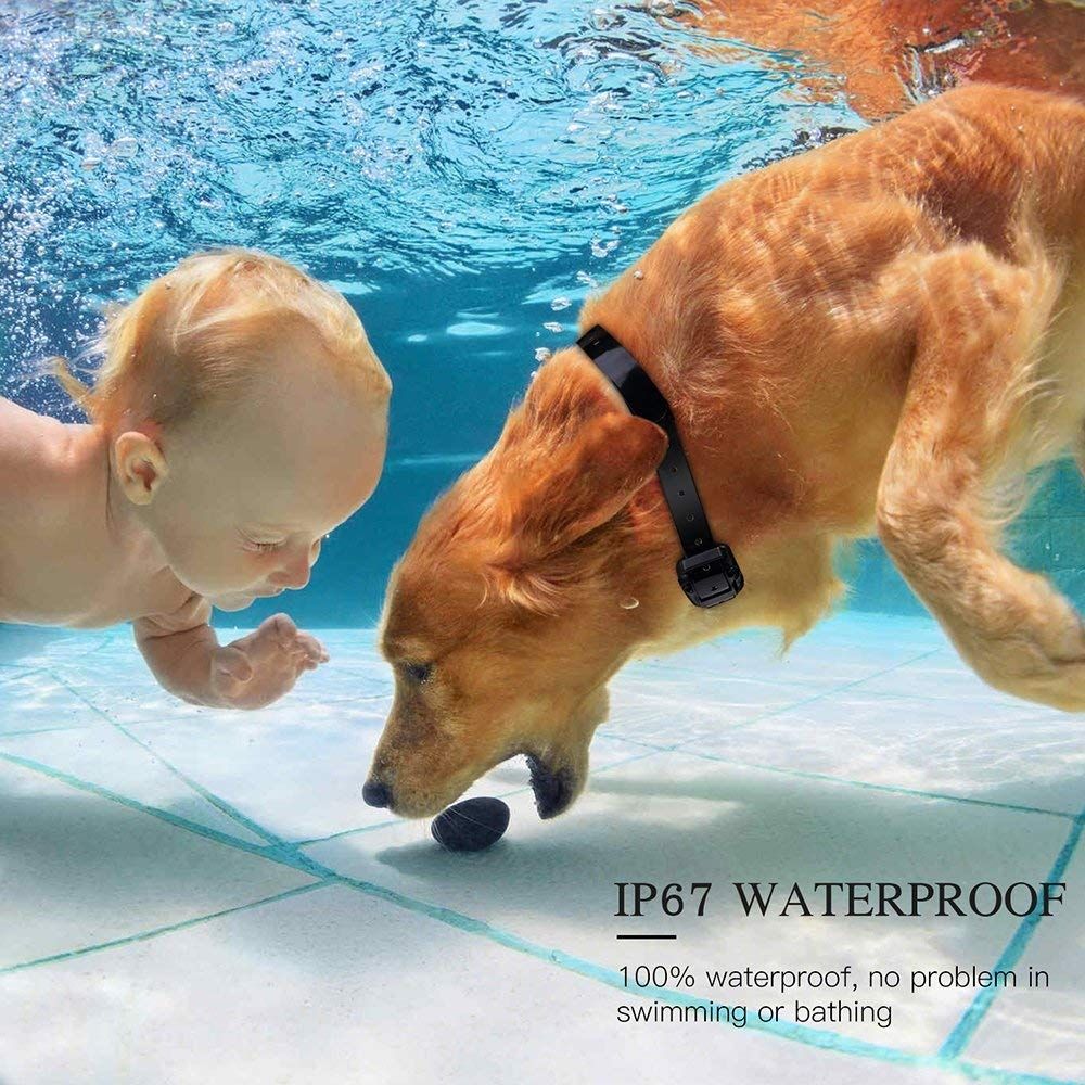 800m Elektrisches Hundetraining-Halsband, Haustier-Fernbedienung, wasserdicht, wiederaufladbar, LCD-Anzeige, Schock, Vibration, Ton