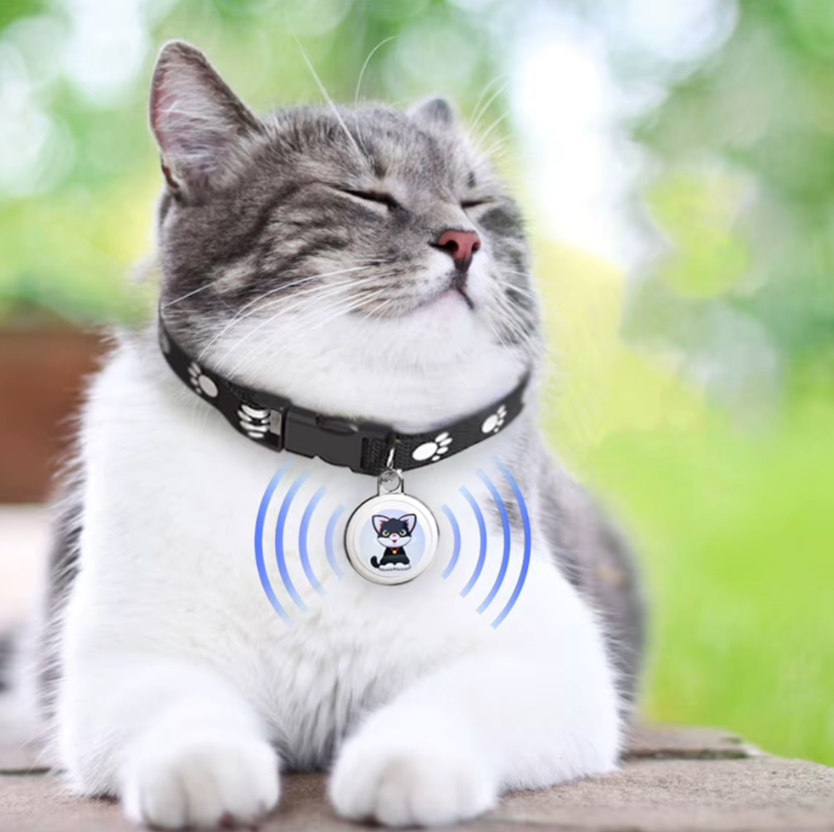 Innovativer Hundetracker Airtag-Hundehalsband Echtzeit-Standort Bluetooth-Tracking Haustierbesitzer-Essentials