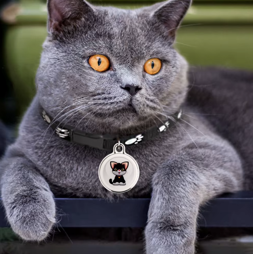 Innovativer Hundetracker Airtag-Hundehalsband Echtzeit-Standort Bluetooth-Tracking Haustierbesitzer-Essentials