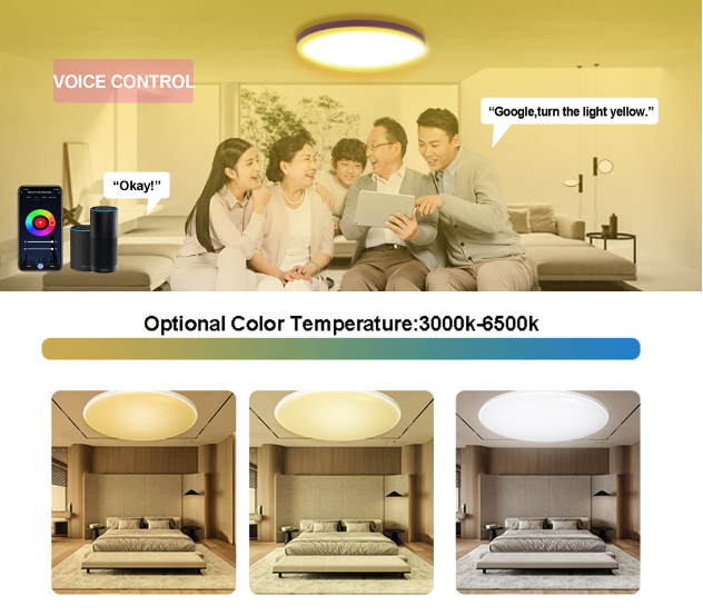 Tuya Zigbee Intelligente Deckenleuchte 24W RGBCW Dynamisches Licht für Zuhause Alexa-kompatibel Energieeffizient